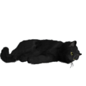 Black Cat Png Image